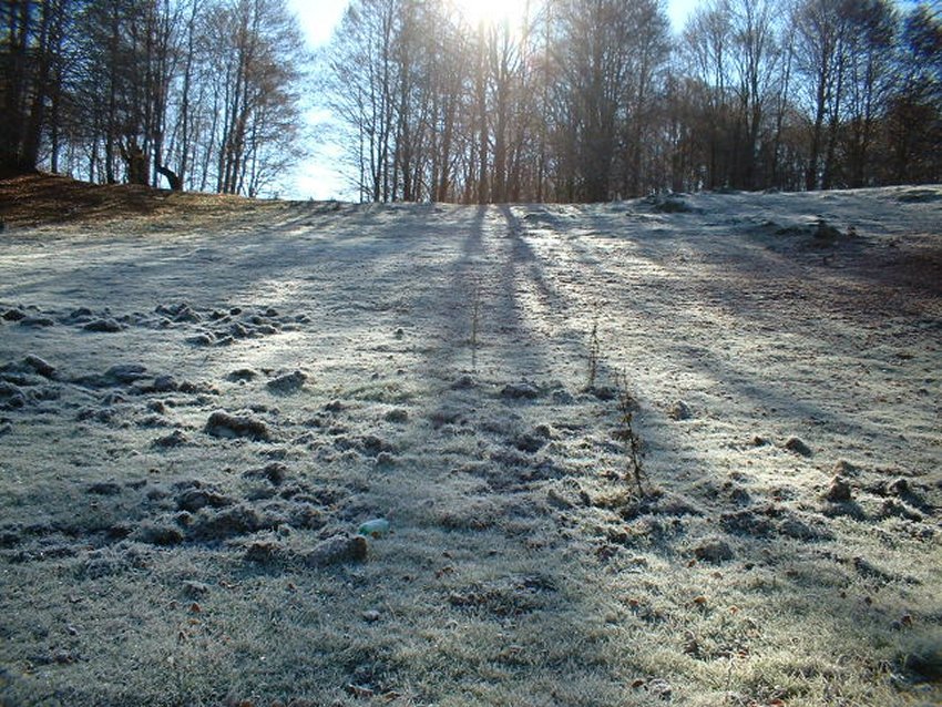 ultimi della stagione